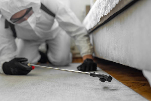 Professional Termite Control technician working in Greenfield, IA